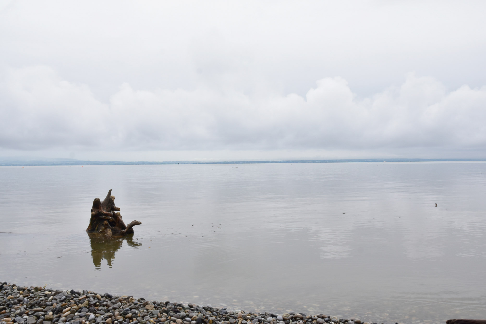 20240602074249 AOA0278